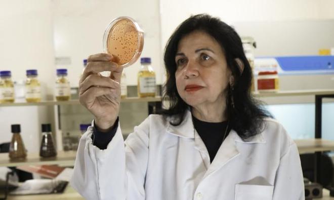 賭博：推動大豆年産量跨越式增長，巴西女科學家榮獲2025年世界糧食獎