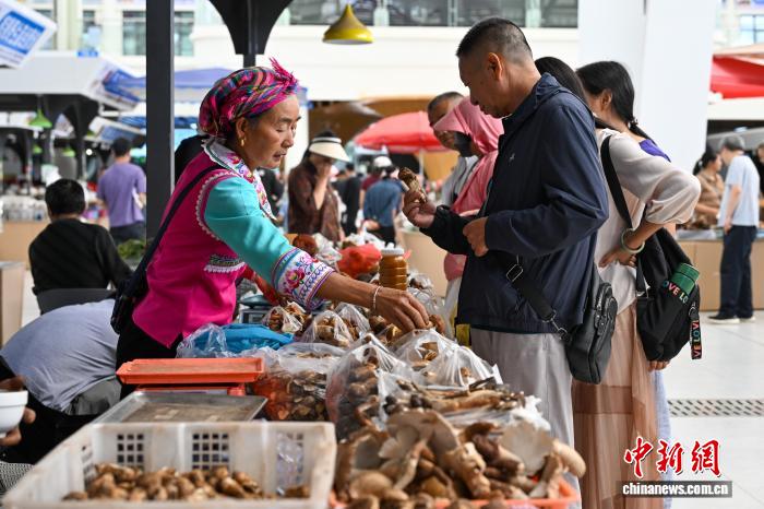 Online Casino：（新春走基層）雲南智慧菇房春意濃 “野生菌王國”破解“季節密碼”