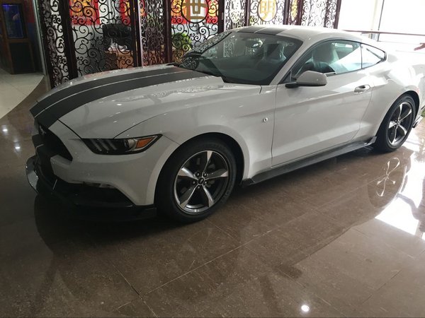 {足球投注}(福特野马所有车型 价格 报价)