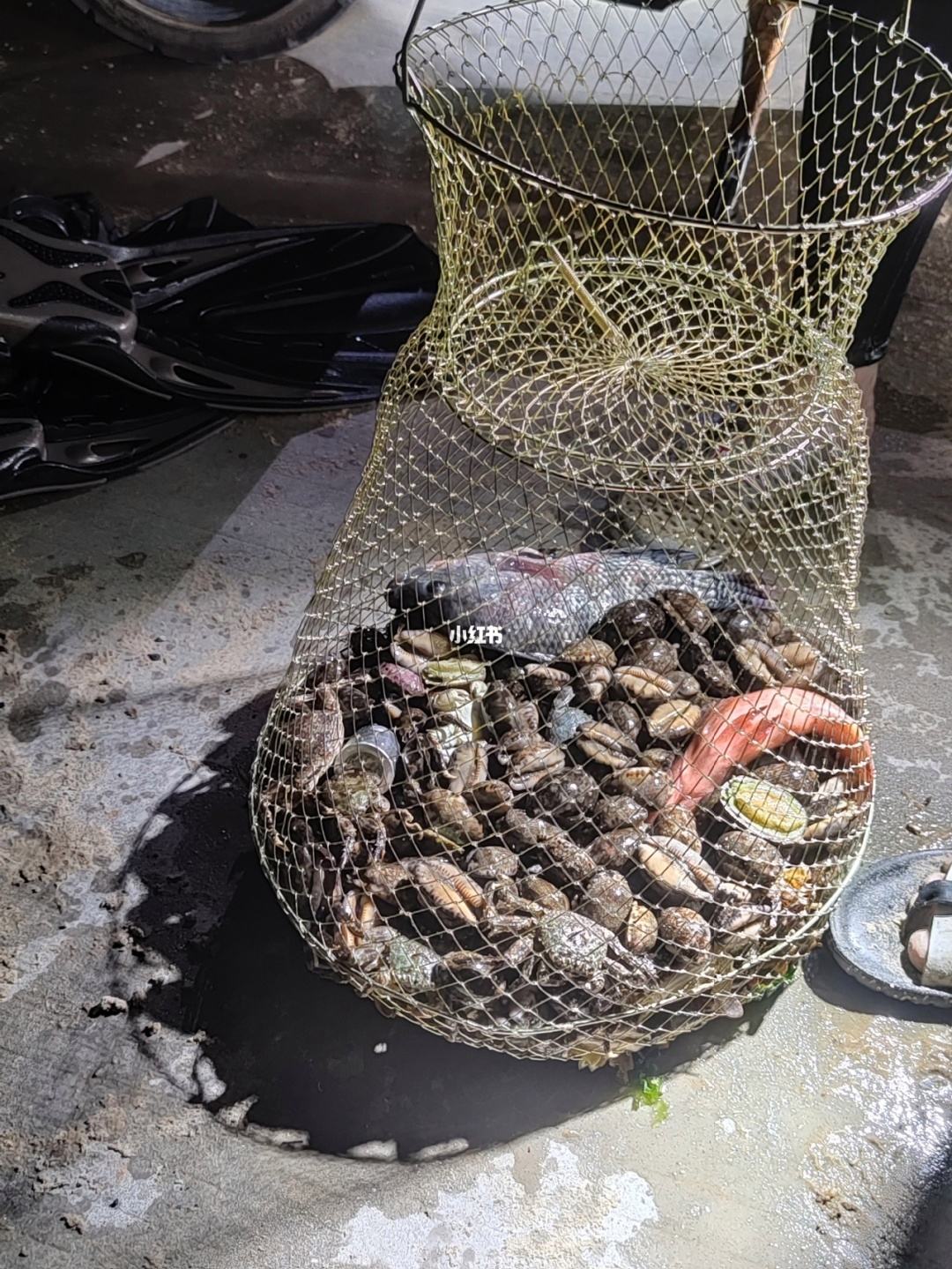 {21點}(万宁赶海时间是几点)